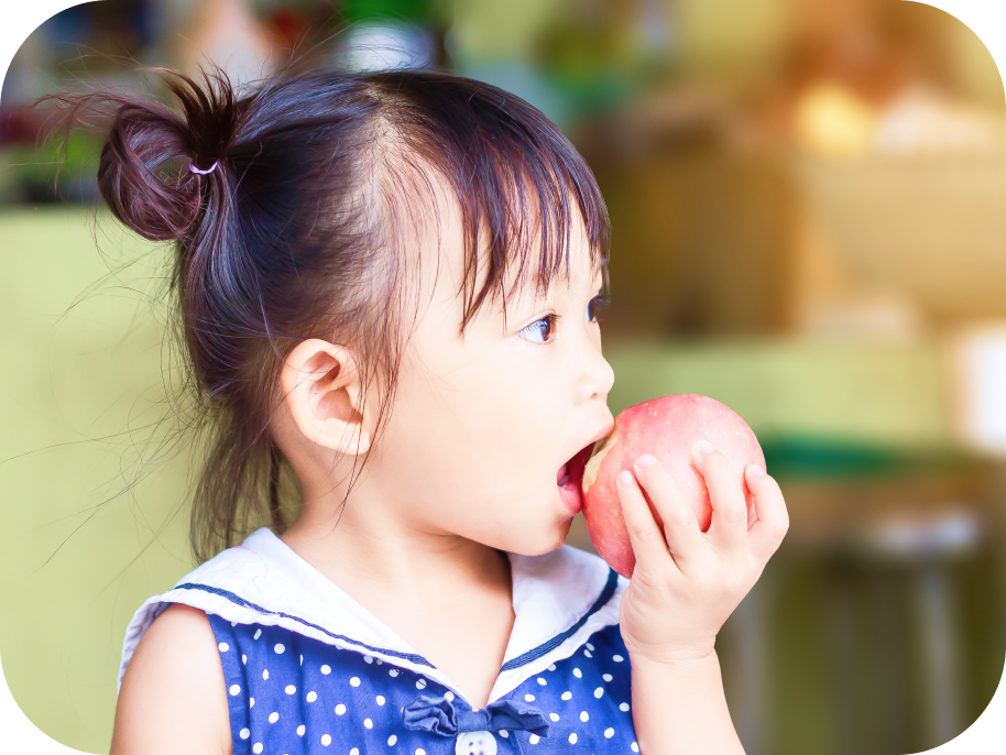 女の子がリンゴを食べる写真
